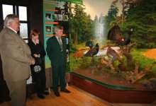 Exhibition – ‘Grouse in the forests of Silesian Beskidy’